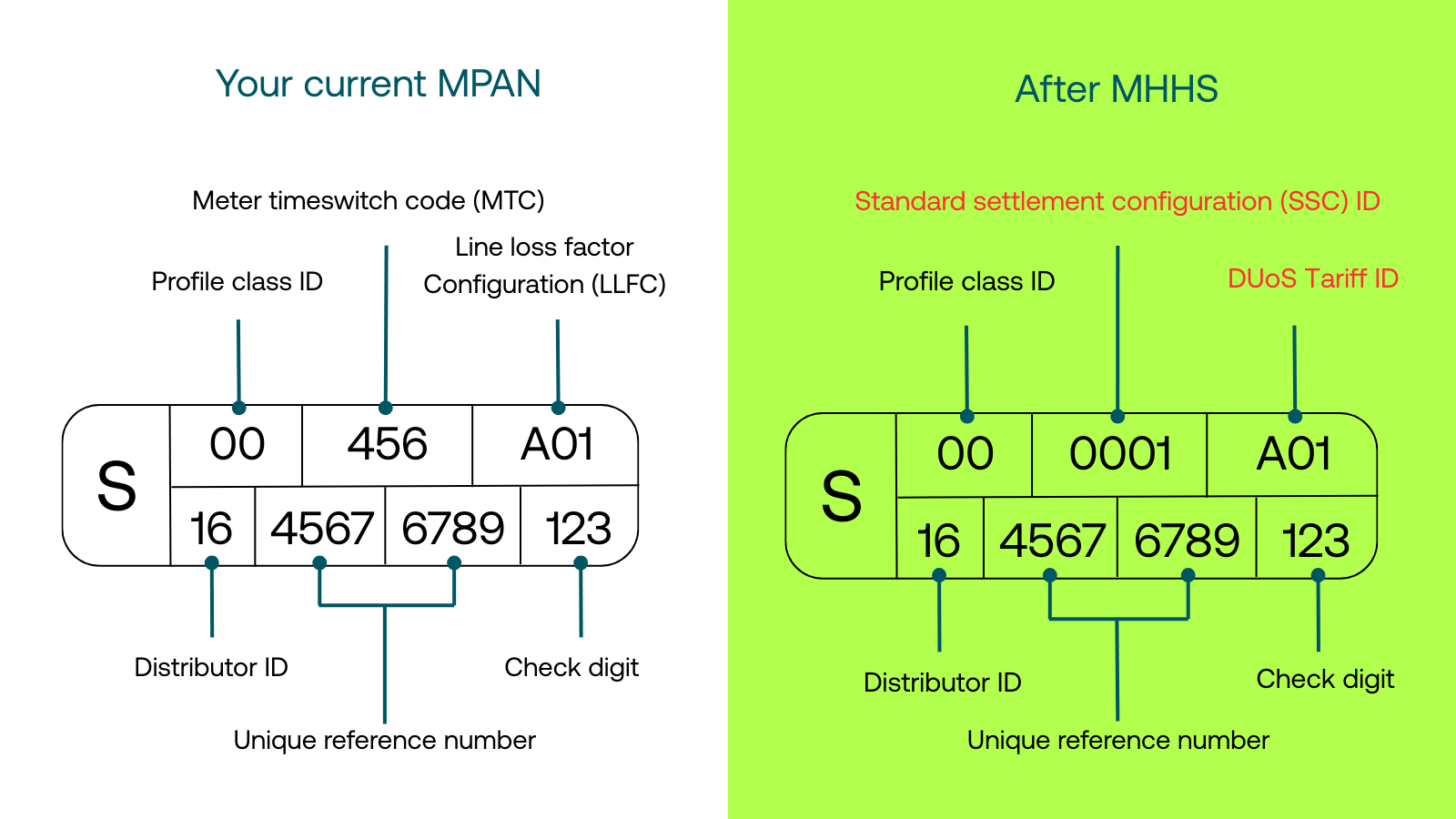 MPAN-MHHS_v2.png