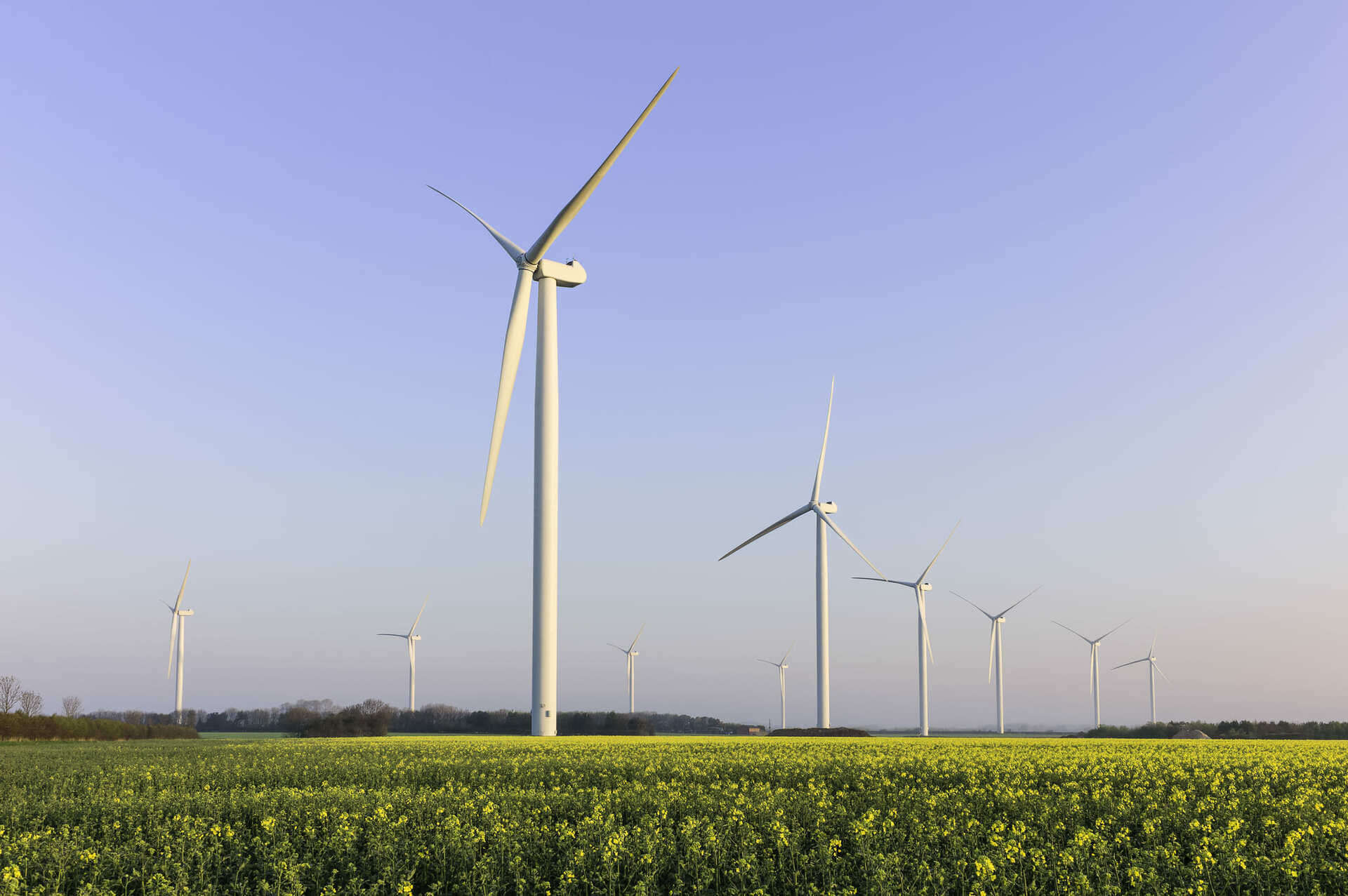 Winturbine in fields