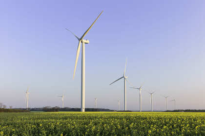 Winturbine in fields